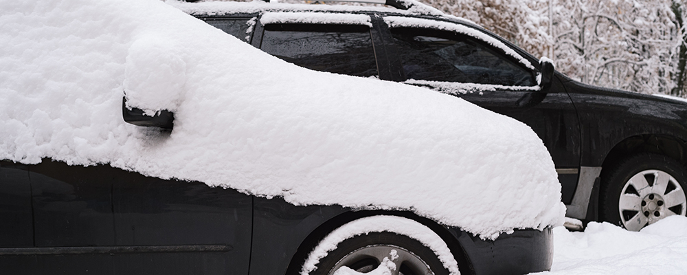 Vehicles in the snow